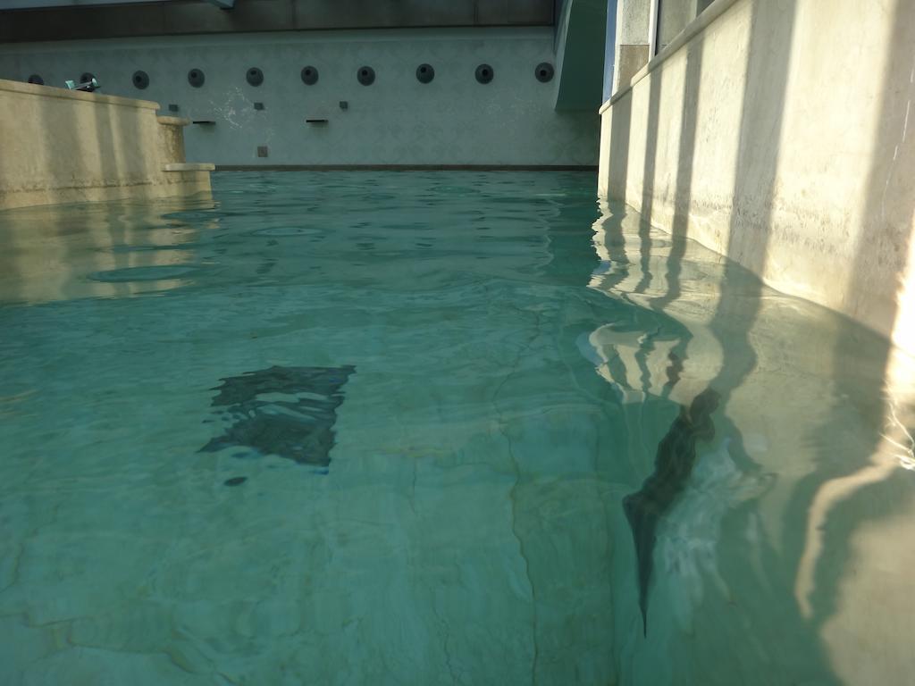 Terme Di Venturina Hotel Venturina Terme Luaran gambar